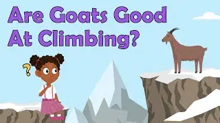 Are Goats Good At Climbing? | Goat Facts | Animal Facts For Kids | Goat Facts For Kids