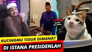 KUCING PRESIDEN INI BOS! SENGGOL DONG 🗿🗿🗿 Reaction Meme TikTok