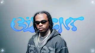 [FREE] Gunna Loop Kit/Sample Pack 2025 