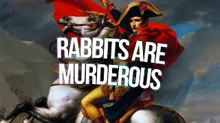 the rabbit who almost killed napoleon