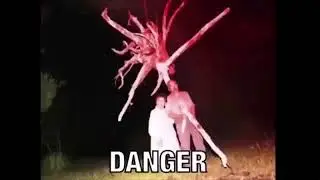 Cursed Meme Compilation 2022