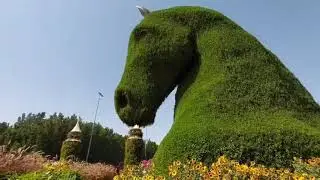 DUBAI MIRACLE GARDEN/Rexilly Vlogs
