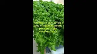Hidroponia