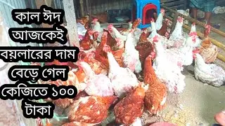 কালকে ঈদ, ব্রয়লার মুরগির দাম বাড়ল আবার কেজিতে ১০০ টাকা
