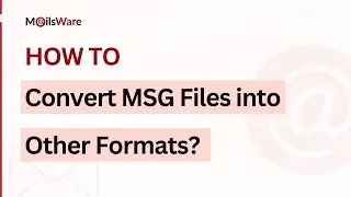 Learn How to Convert MSG Files into Other Formats Easily