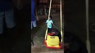 funny dog