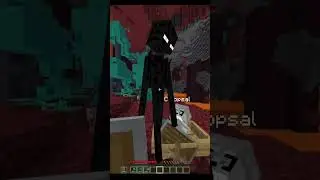Enderman Likes To SPIN...