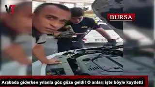 Arabada giderken yılanla göz göze geldi! O anları işte böyle kaydetti