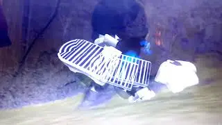 Кости