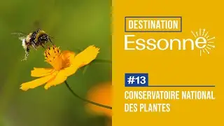 Destination Essonne #13 : Le Conservatoire national des plantes à parfum, médicinales et aromatiques