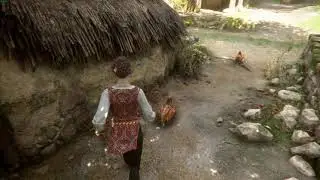 Accurate Chickens(Run Away) - A Plague Tale: Innocence