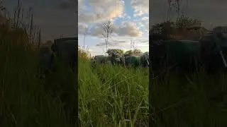 мотоцикл Урал