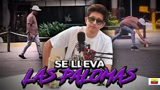 Captan a hombre robando palomas en Guayaquil 🕊 | El Kevinsín