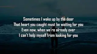 Set Fire To The Rain Lyrics - Adele