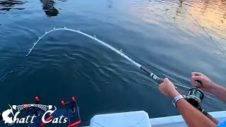 Fishing At Sunrise For BIG Catfish!
