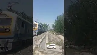 train fact