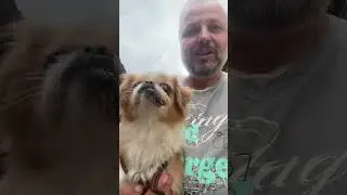 Хвостатое счастье в прямом эфире!