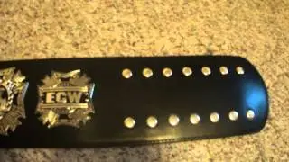 ECW 2008 World Championship