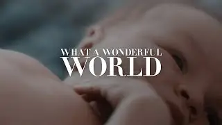 what a wonderful world [контейнер]