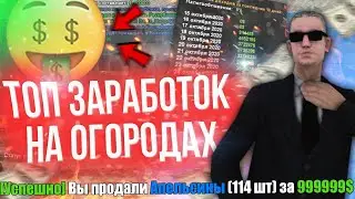 ЭЛЕМЕНТАРНЫЙ СПОСОБ ЗАРАБОТКА НА ОГОРОДАХ DIAMOND RP