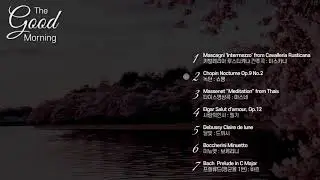 No Ads)🎵 Relaxing Music , The Greatest Classical Music, Chopin Nocturne, Elgar , Debussy, Bach