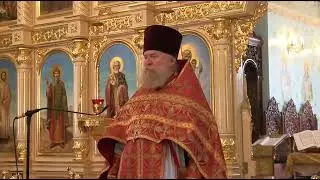 Archpriest Andrei Aleshin: The Coming Famine: How to Survive It.