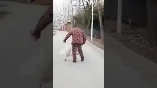 Гусь! Это тебе не курица!