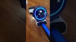 What a mess Thanks for the free vacuum