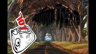 Дерево в деревьях :-) Катка на Тренде с Rus Gameng
