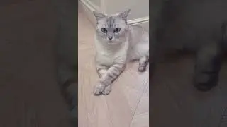 Кому верим?