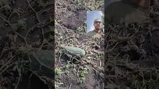 кавун на любий смак від Володимира Середи 2.09.24