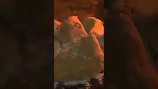 Выжить в лесу