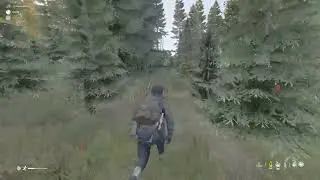 Клеймор головного мозга. DayZ