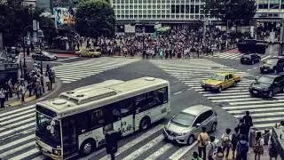 Free Stock Video | People cross a street