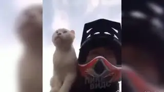 Your Daily Internet Scoop #4