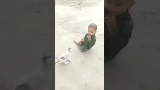 Baby with dog viral shorts 