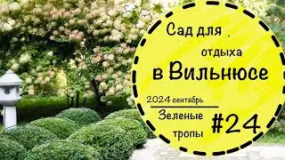 #24☘️Beautiful garden in Vilnius☘️Giant hydrangeas☘️Japanese garden☘️Ground cover plants☘️Cereals