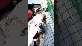5 марта 2023 г.