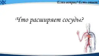 Что расширяет сосуды? [298]