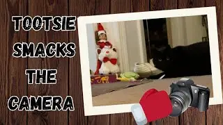 1304) Tootsie Smacks the Camera
