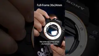 What's the difference between full-frame and APS-C? 