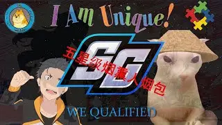 SGL Qual Experience 2