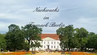 Nachwuchs im Tierpark Berlin mit WoHer - Art