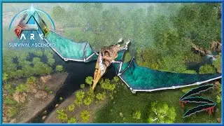 I Searched the WHOLE MAP for a Pteranodon - ARK Survival Ascended - E7