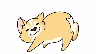 Corgi Dance