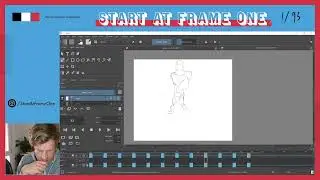 2D Animation Insights