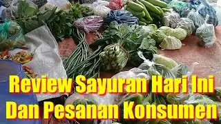 Review Sayuran Untuk Jualan Sayur Keliling !!Pedagang Sayur Keliling