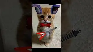 FNAF MEME part 19 (Bonnie's meme)