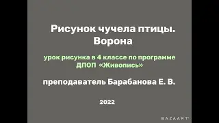 Рисунок чучела птицы. "Ворон". 4 класс.