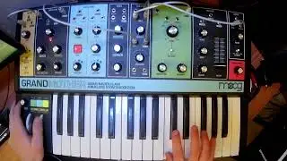 Moog Grandmother Patch Tips | Sub Oscillator